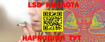 spice Кингисепп
