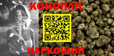гашик Новозыбков