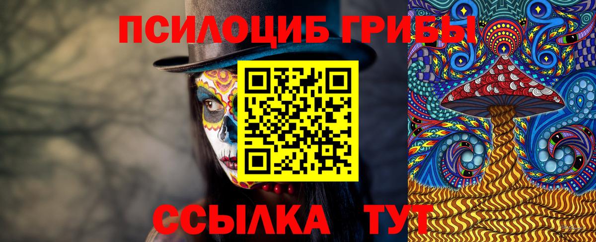 Владикавказ  Галлюциногенные грибы GOLDEN TEACHER  купить наркотик  Вход с VPN 